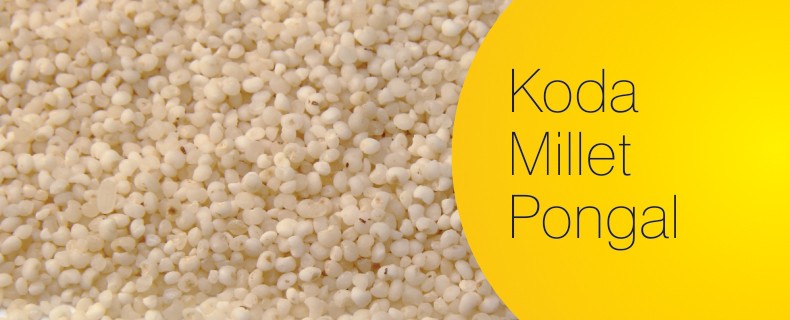 Kodo Millet – Pongal