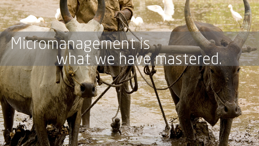 Micromanagement is what we have mastered.