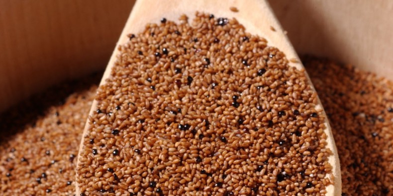 Saucy Ladies column on what to do with teff, the world’s smallest grain