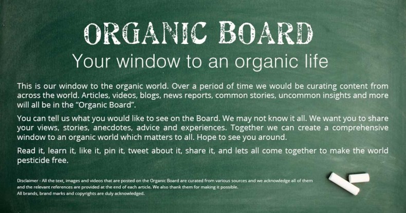 organic-bord-1140-x-600