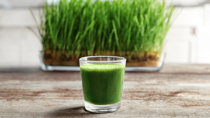 Wheatgrass Benefits and Usage