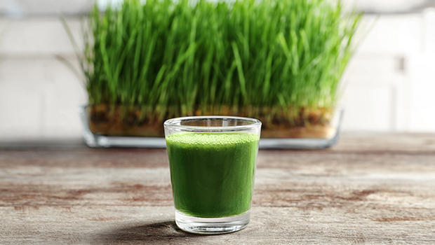 This Summer Stay Cool with Wheatgrass Juice