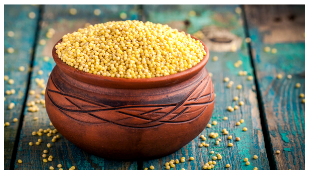 Organic Millets – Types, Benefits and Why it Should Be a Part of Our Daily Diet