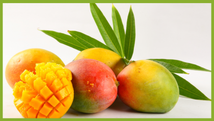 5 Different Ways to Have Mangoes This Summer