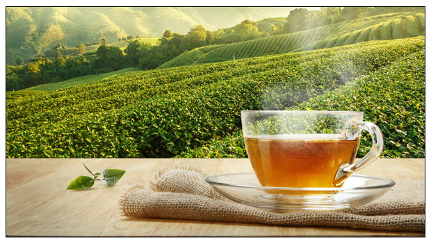 5 Reasons to Have Organic Green Tea Everyday