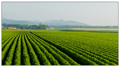 WHAT IF INDIA GOES FULLY ORGANIC? HOW WILL THIS BENEFIT THE FARMERS?