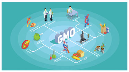 HOW IS GMO HARMFUL FOR YOUR HEALTH?