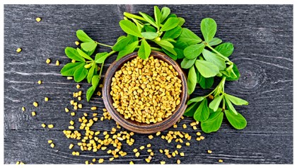 BENEFITS OF FENUGREEK LEAVES FOR SKIN, HAIR AND HEALTH