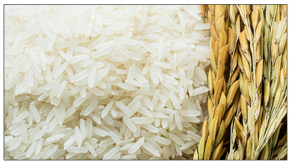 #MakeTheSwitch : REASONS WHY RED RICE IS BETTER FOR YOUR HEALTH