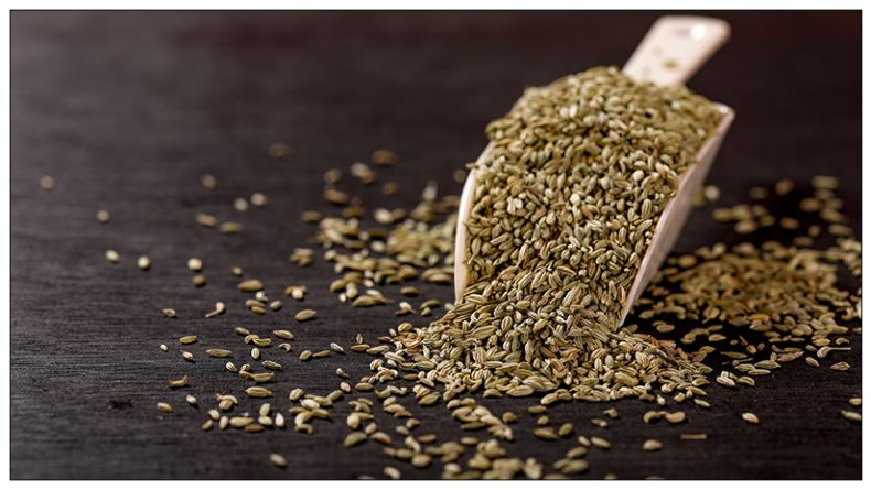 Nature’s Gift – Fennel Seeds