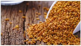 Fenugreek