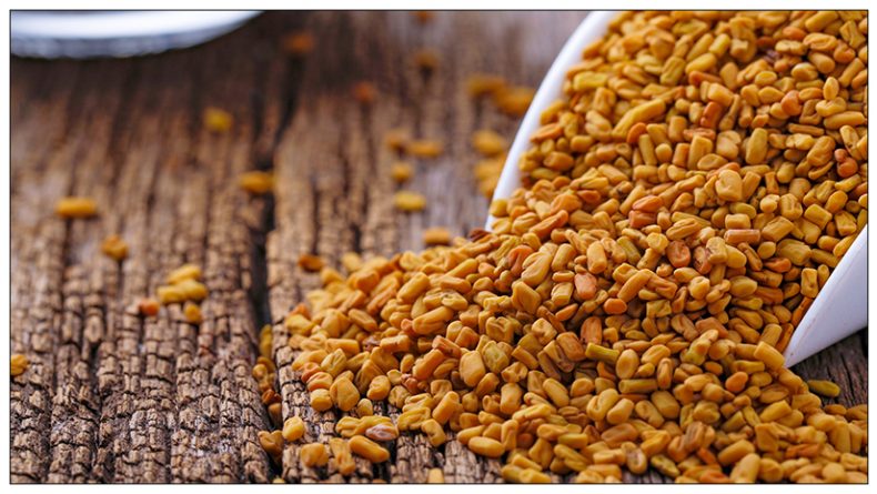 Fenugreek