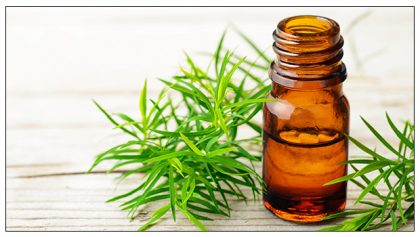 14 Benefits and Uses for Tea Tree Oil