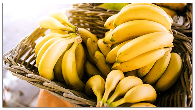 Are Bananas Fattening or Weight Loss Friendly?