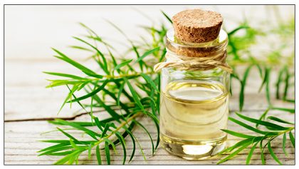Tea Tree Oil for Skin: 7 Popular Uses and Benefits