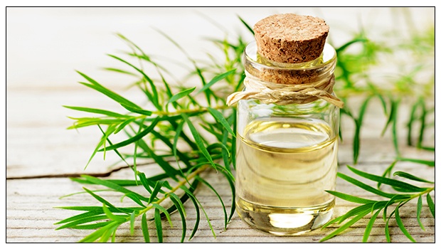 Tea-Tree-Oil-for-Skin:-7-Popular-Uses-and-Benefits