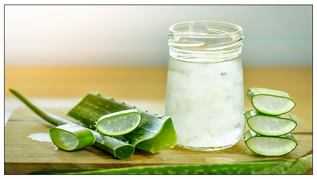 What Are The Benefits Of Drinking Aloe Vera Juice?