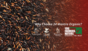 24-mantra-banner