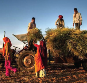 farmer-practicing-organic-farming