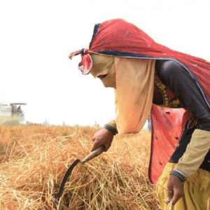 farmer-practicing-organic-farming