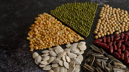 10 Easy Diet Tips and a Diet Chart to Gain Weight
