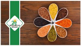 Top 11 Health Benefits of Flax Seeds