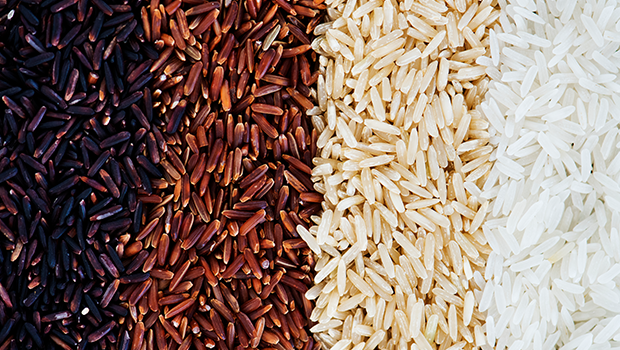 White, Brown & Red Rice – Nutritional Benefit of Each