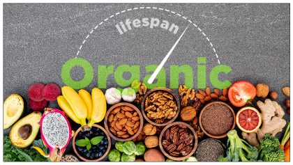 Can organic food increase our lifespan