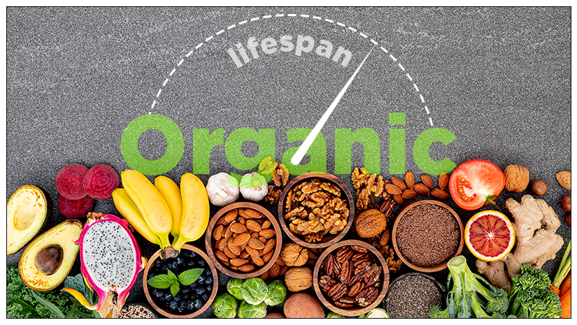 Can-organic-food-increase-our-lifespan