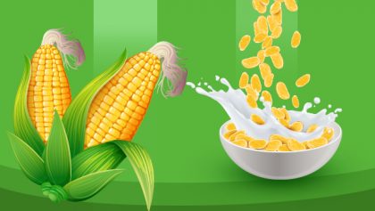 Corn Basic Nutrition Facts and Health Benefits