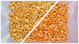 Difference between Organic Dal and Normal Dal