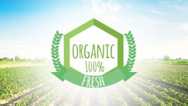 Five Steps to Get an Organic Certification