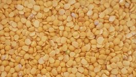 Toor Dal, Arhar Daal, Pigeon Peas: What’s in a name?