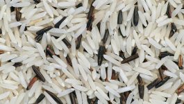 Basmati Rice 101 Guide