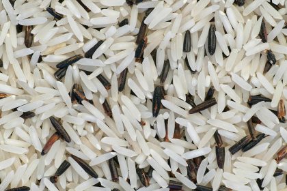 Basmati Rice 101 Guide