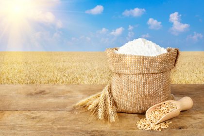 What is Whole Wheat Flour? Health and Nutritional Benefits of This Indian Staple
