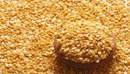 Can Toor Dal Increase Your Weight?