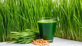 How Can Wheatgrass Help With Weight Loss?