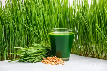 How Can Wheatgrass Help With Weight Loss?
