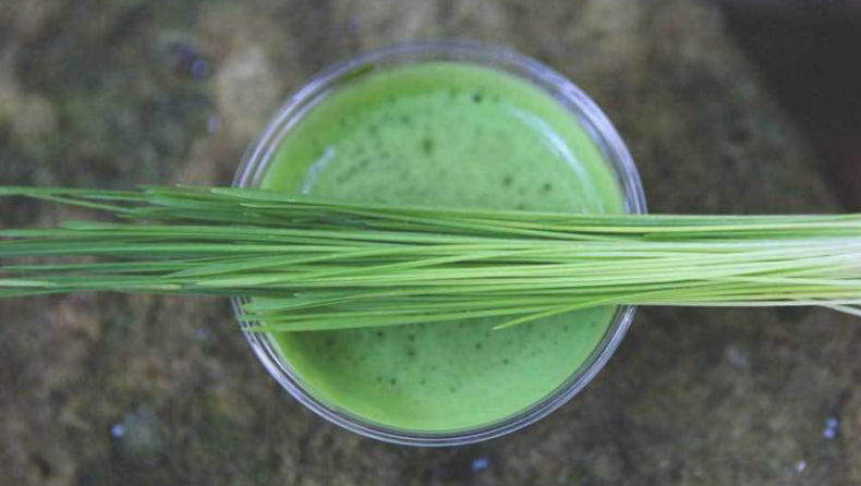 8 Essential Nutrition Benefits of Wheatgrass