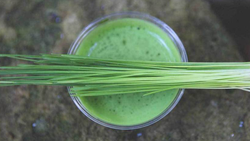 8-Essential-Nutrition-Benefits-of-Wheatgrass