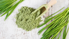 Reasons Why Organic Wheatgrass Powder Should be a Part of Your Diet