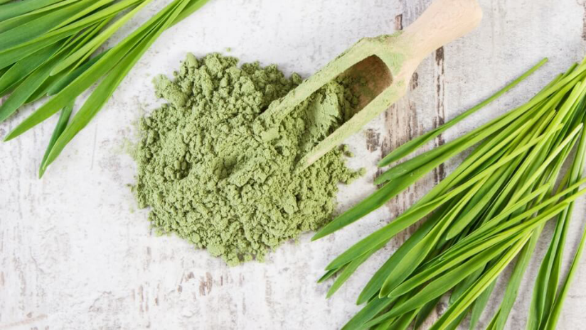 Reasons-Why-Organic-Wheatgrass-Powder-Should-be-a-Part-of-Your-Diet