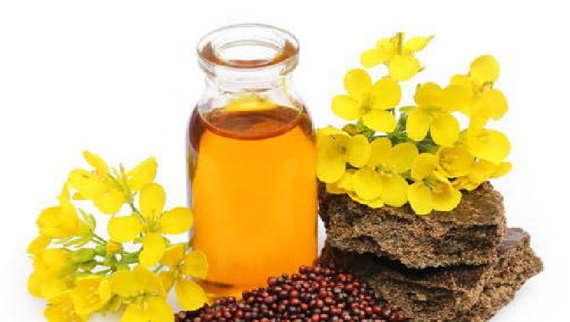 Benefits-of-cooking-with-mustard-oil-for-cholesterol-patients