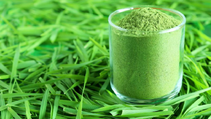 Learn How to Use Wheatgrass Powder For Its Magical Benefits!