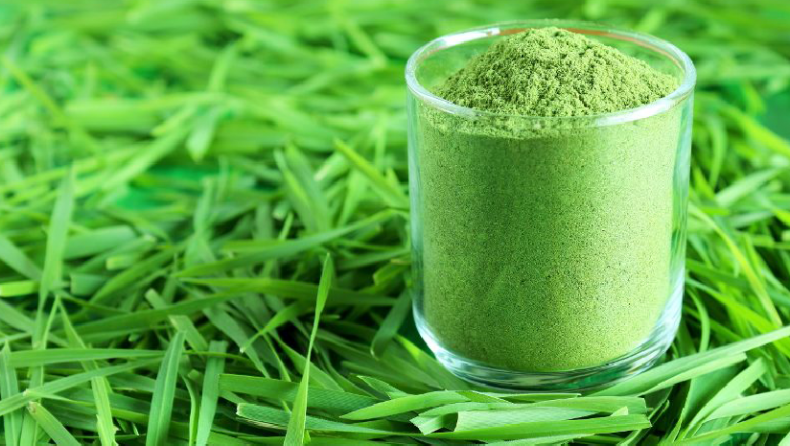 Learn How to Use Wheatgrass Powder For Its Magical Benefits!