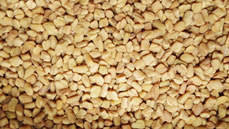 Fenugreek Benefits for Hair: Everything You Need to Know