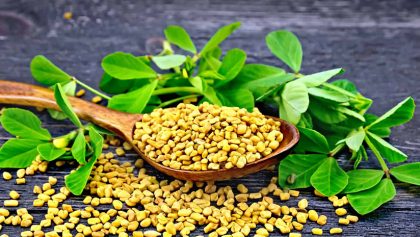 Health Benefits of Fenugreek for Diabetes