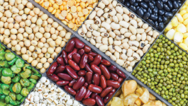 Foods to get the best plant protein