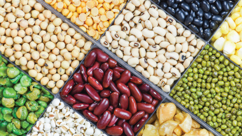 Foods to get the best plant protein